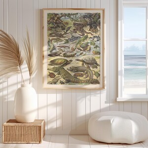 May include: A framed vintage print featuring various reptiles and amphibians, including snakes, turtles, and alligators. The artwork has a detailed, scientific illustration style with a beige background and a wooden frame. The print is displayed in a bright room with a window.