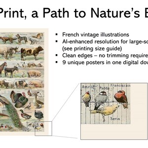 May include: A digital download featuring vintage French illustrations of various animals, including farm animals and birds. The image includes the text "Each Print, a Path to Nature's Beauty."