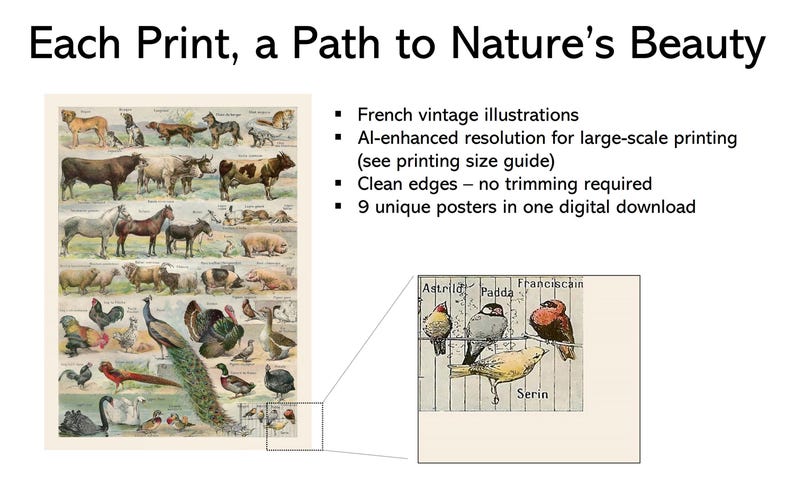 May include: A digital download featuring vintage French illustrations of various animals, including farm animals and birds. The image includes the text "Each Print, a Path to Nature's Beauty."