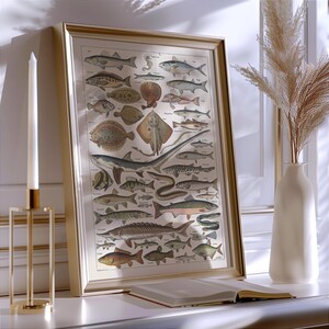 May include: Framed vintage print featuring various fish illustrations in a gold frame. The print is propped up on a white surface next to a gold candle holder with a white candle and a vase with dried plants.