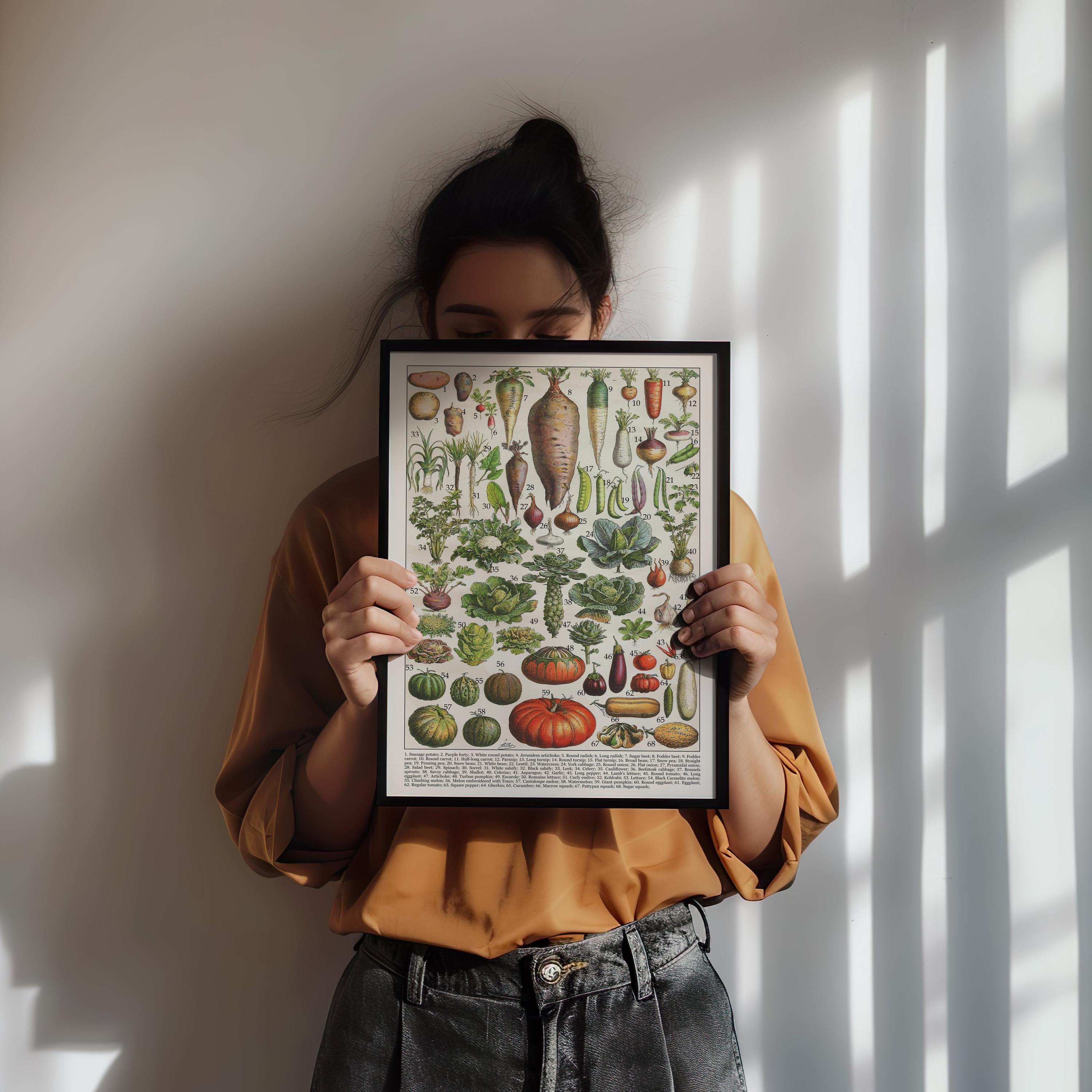 Vintage Biology Posters: Science Classroom Wall Art (digital Download ...