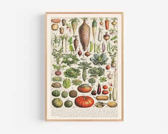 Vintage Arabic Botanical Print: Kitchen Vegetable Art (Digital Download