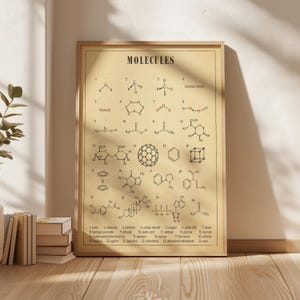 May include: A rectangular poster with a light tan background featuring black ink illustrations of twenty-four numbered chemical molecules. The title MOLECULES is printed in bold black text at the top, with a corresponding numbered list of chemical names provided at the bottom of the print.
