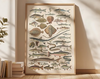 Vintage French Fish Print: Restored 19th Century Encyclopedia Chart (Digital Download