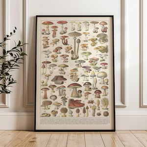 Vintage Mushroom Chart Print: French Culinary Poster, Rustic Kitchen Decor (Digital Download)