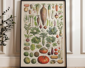 Vintage Botanical Vegetable Poster – Printable Kitchen Wall Art Featuring Heirloom Plants and Garden Vegetables