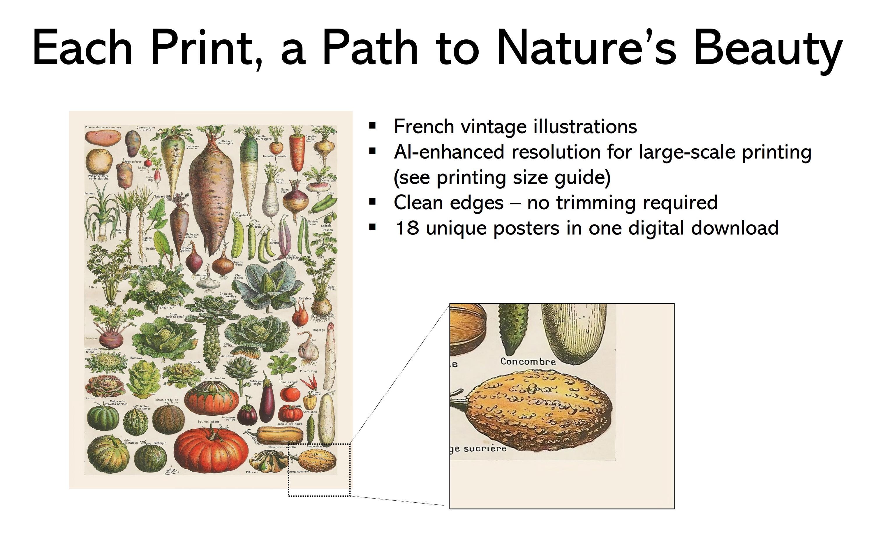 Nature Posters for Kids: Educational Wall Art Set (digital Download) - Etsy