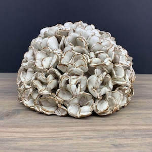 May include: A white ceramic sculpture of a flower cluster, resembling a hydrangea. The sculpture is made of individual petals, each with a slightly textured surface.