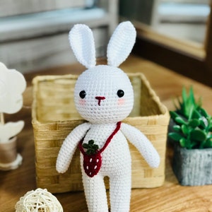 Berry the Bunny Amigurumi Easy Crochet Pattern PDF (con sacchetto di fragole) / Uncinetto per principianti