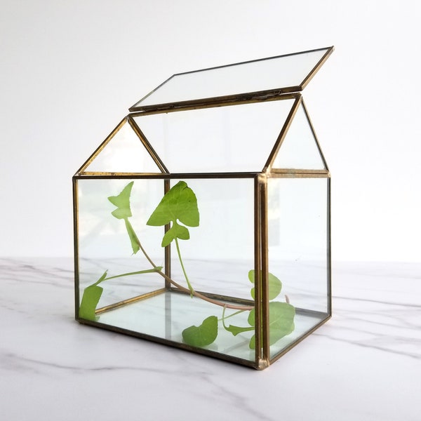 Terrarium Jewelry Etsy