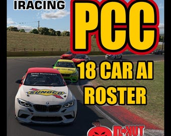 Custom Iracing Production Car Challenge AI Roster