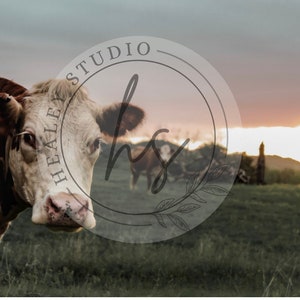 Cow Photography, Hereford, Cow Print, Cow Poster, Animal Print, Cow Wall Art, Cow Printable, Wall Art, Farmhouse Cow Photography