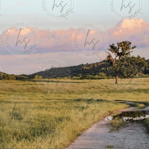Country Road Picture, Country Picture, Pasture Photography, Sunset Photo
