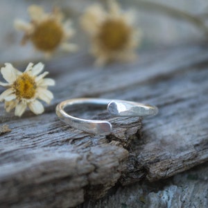 Könnte beinhalten: Ein silberner Ring mit gehämmerter Oberfläche, der auf einem Stück verwittertem Holz liegt, um das herum getrocknete Blumen verstreut sind.