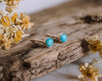 May include: A pair of silver stud earrings with turquoise gemstones. The earrings are on a piece of driftwood with dried flowers.