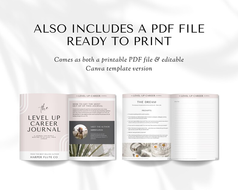 Może przedstawiać: R&oacute;żowo-biały dziennik z tytułem "The Level Up Career Journal" i tekstem "How to get the most out of this journal" oraz "Meet the Author". Dziennik jest otwarty, aby pokazać wewnętrzne strony z podpowiedziami dla "The Dream" i pustą stroną do prowadzenia dziennika.