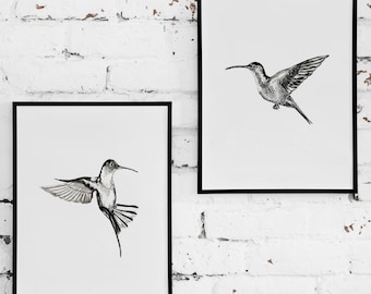 Hummingbird Art Print / Bird Drawing Decor / 8x10 / Set of 2 Wall Hummingbird / Two Instant Digital Downloads Art / Black and White Print