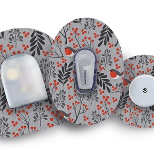 May include: Three round, grey and white patterned adhesive patches with a robin and berry design. The patches are for a medical device and feature the text "dexcom G6".