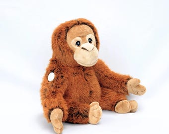 Olly the Orangutan