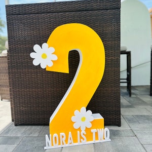personalized numbers | birthday props | marquee numbers
