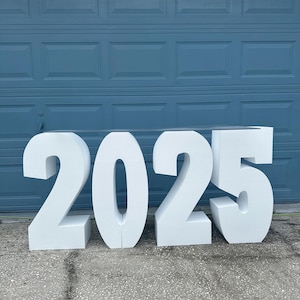 Puede incluir: Números de espuma blanca que deletrean el año 2025. Los números están de pie sobre una superficie de concreto gris frente a una puerta de garaje azul.