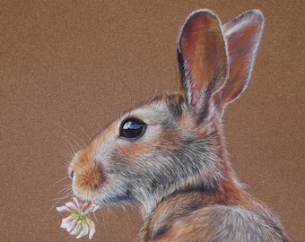 Hare Drawing - Original Pastel Painting - Bunny Art - Wildlife Animal Painting - 11 by 15 inch by AmazingPastel