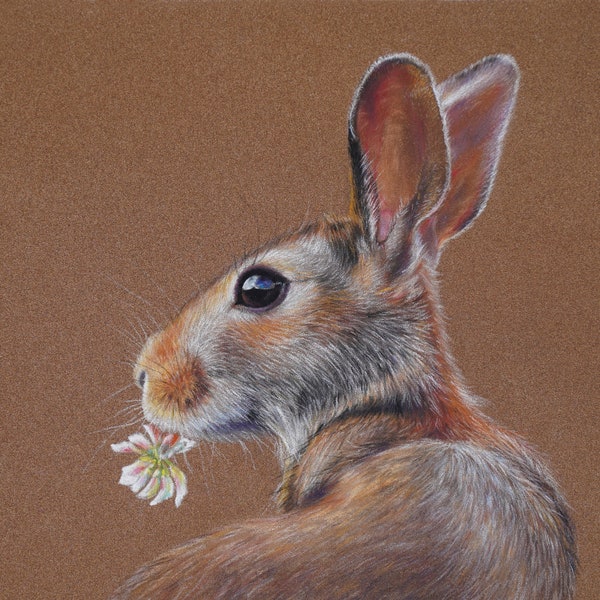Hare Drawing - Original Pastel Painting - Bunny Art - Wildlife Animal Painting - 11 by 15 inch by AmazingPastel