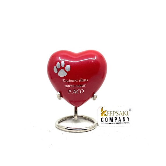 QGJNSGC Braccialetto con urna a forma di zampa di animale domestico per ceneri cuore cremazione gioielli braccialetto ceneri braccialetti per uomini donne ricordo ricordo braccialetto braccialetto per