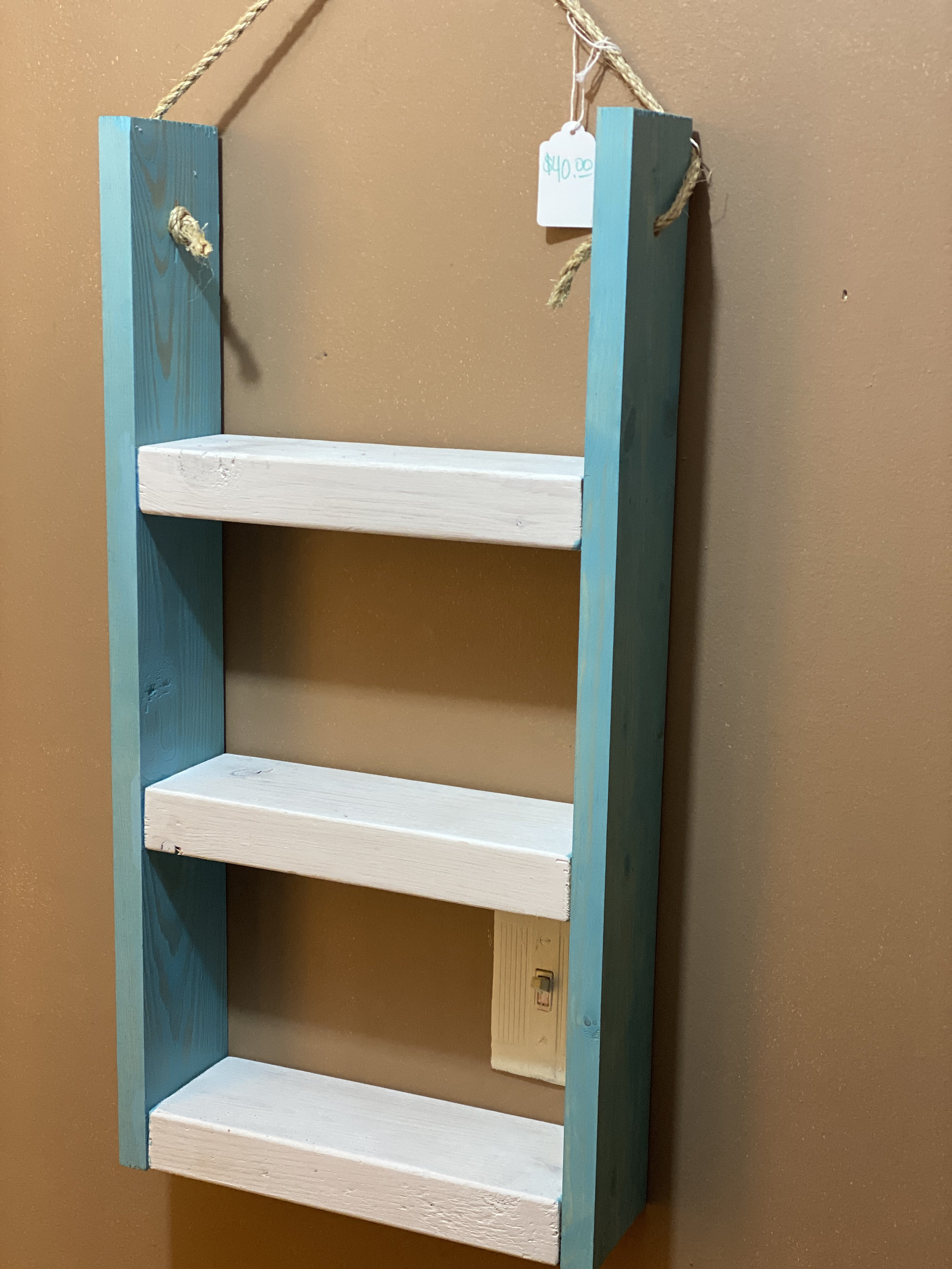 Hanging Ladder Shelf Etsy