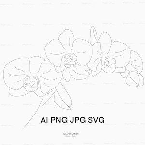 Orchid Flower AI/SVG, Vector Orchid, Flat vector illustration, Orchid PNG,  Orchid Clipart
