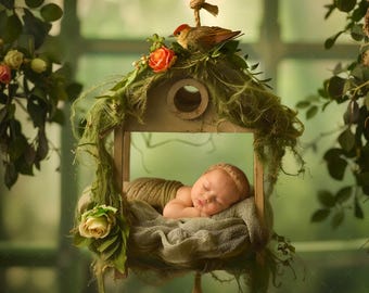 Newborn photography backdrop digital, Digital background, Photo digital background, Bird newborn background,  Composite Studio Backdrop