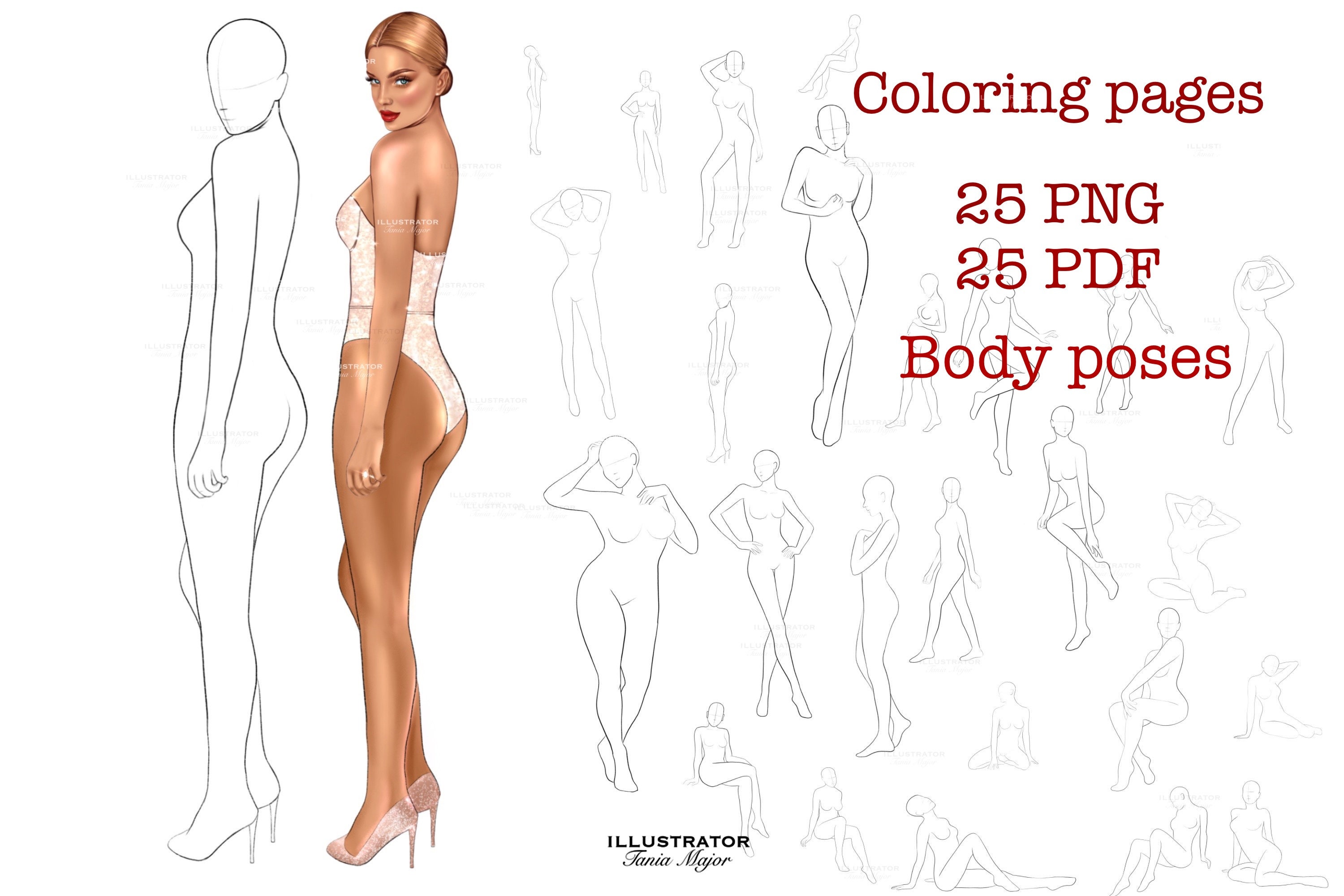 100 Female Art Pose Body Reference PNG Files Adult Female Anatomy Drawing  Stylish Body Type 7 Head Tall Body Ratio 100 Poses Images -  Canada