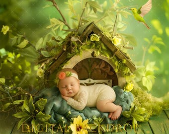 Newborn photography backdrop digital, Digital background, Photo digital background, Bird newborn background,  Composite Studio Backdrop