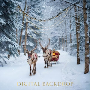 Reindeer Digital Background, Christmas card, Christmas  Digital Backdrop, Christmas tree backdrop, Holiday backdrop, composite