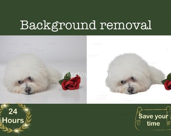 Remove background service, Photo Background Removal, Cut out Background, Changing background, product background