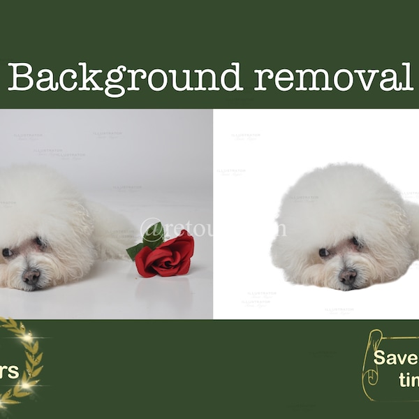 Remove background service, Photo Background Removal, Cut out Background, Changing background, product background