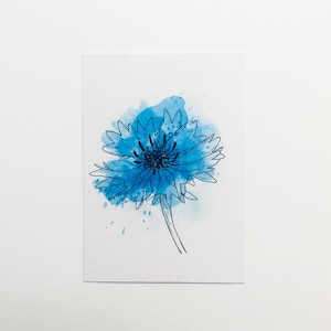 Ansichtkaart Korenbloem | illustratie, minimalistisch, aquarel, bloem, natuur