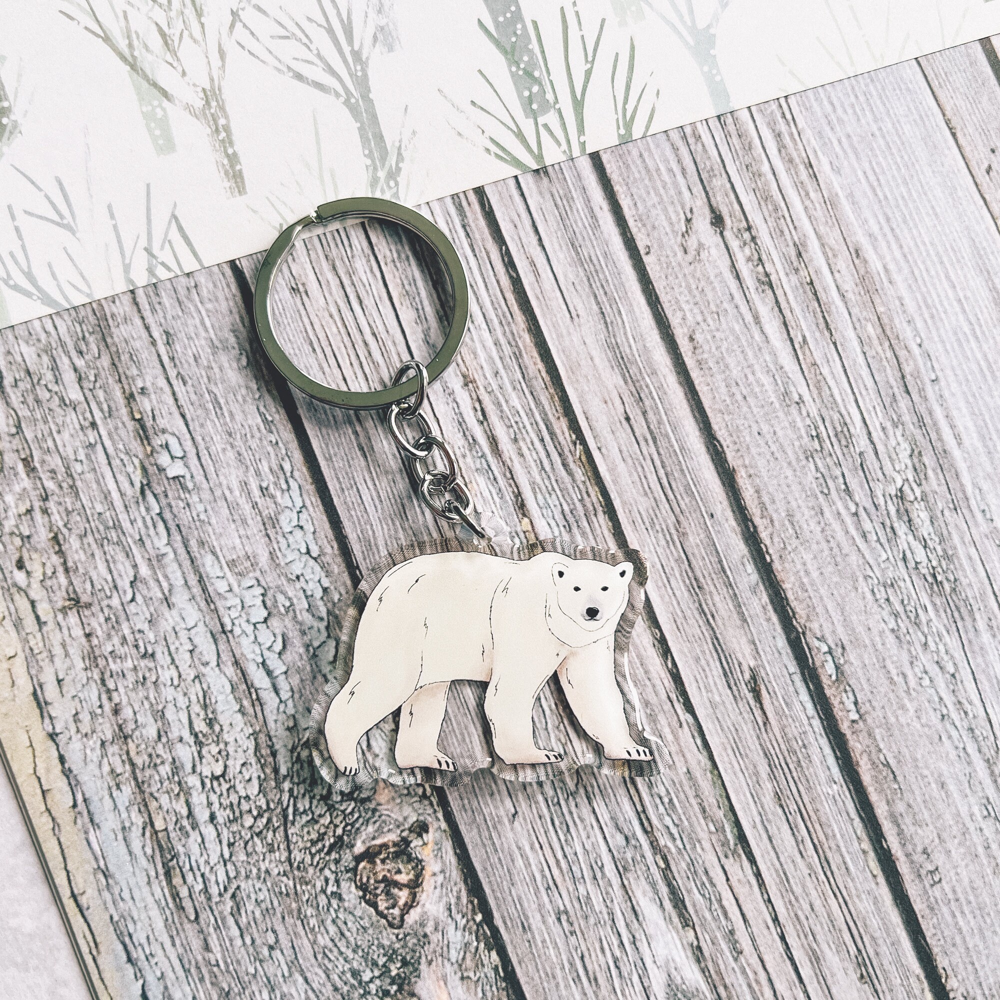 Orso Polare Disegno Immagini Orso Da Disegnare Disegno Dell'orso