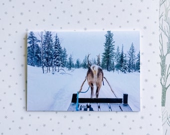 Renne de Tolokku - Carte de voeux | photographie originale, scène d'hiver confortable