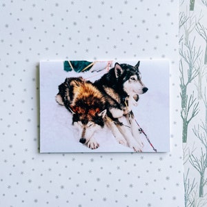 Huskies 2 - Carte de voeux | photographie originale, scène d'hiver confortable