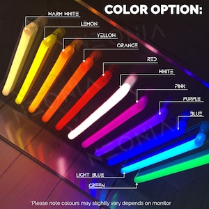 May include: A color chart showing 12 different neon light colors. The colors are: warm white, lemon, yellow, orange, red, white, pink, purple, blue, light blue, and green. The text "COLOR OPTION:" is at the top of the chart.