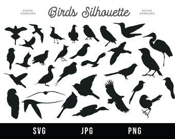 Download Love Birds Svg Etsy