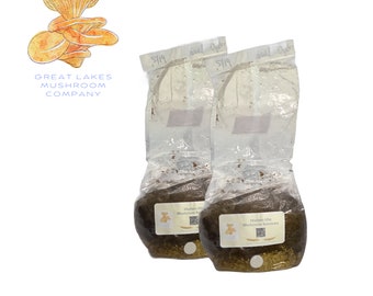 2pk  All-in-One Sterilized Mushroom Grow Bag| 2x 5lb Mushroom Masters Mix Bag | Includes Injection Port