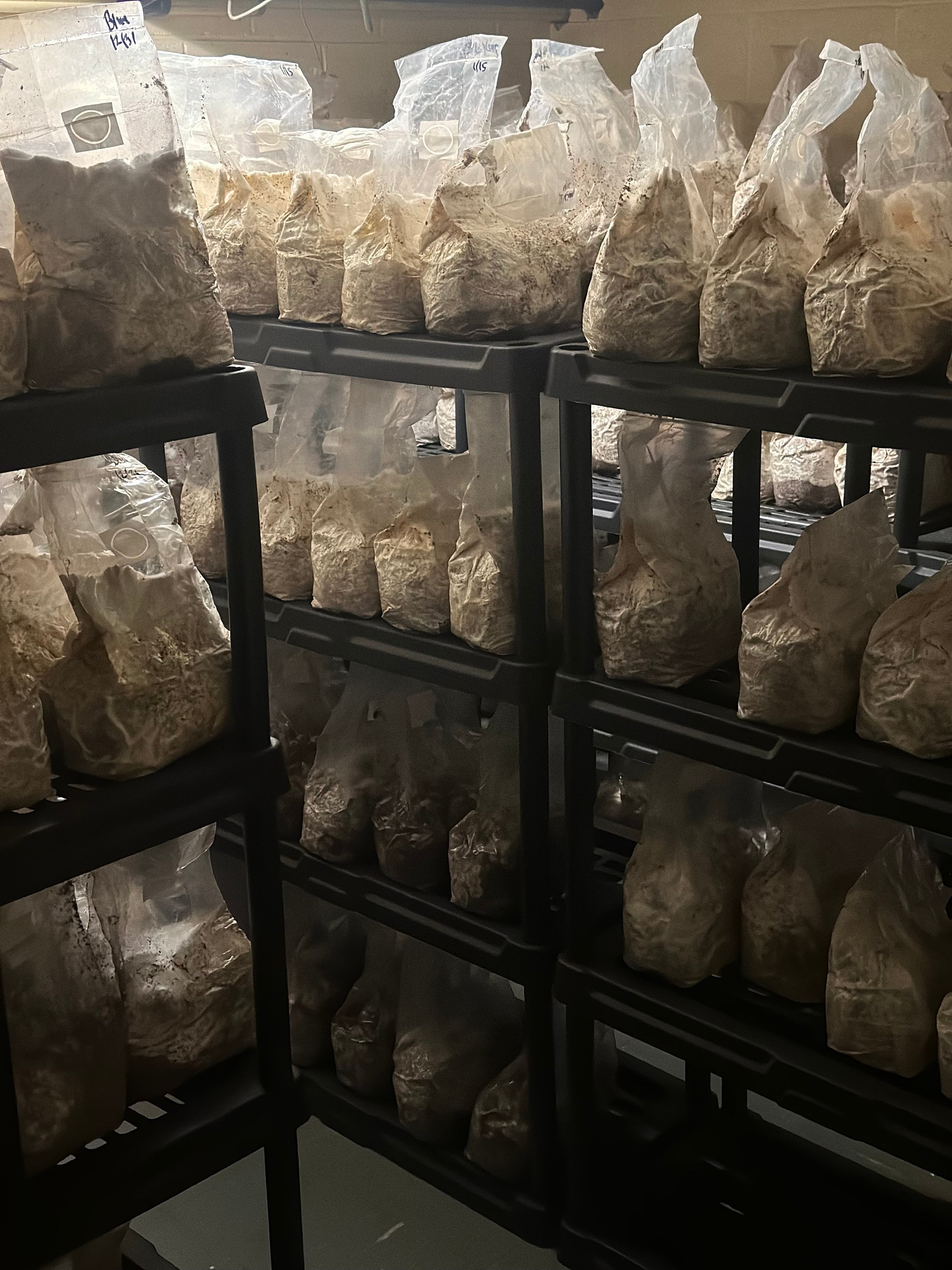 12lb Box Organic Soy Hull Pellet Mushroom Cultivation Great Lakes