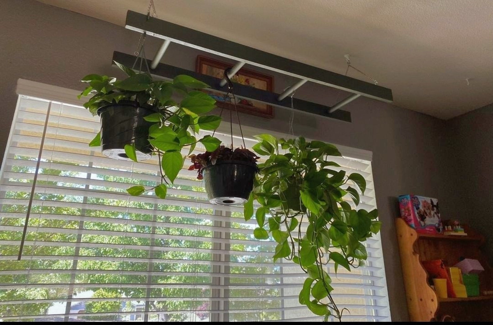 Hanging Plant Ladder Pot Rack Basket Holder Kitchen Etsy UK