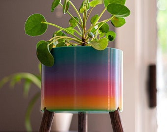 PRIDE Offset Planter | Donations to The Trevor Project | LGBTQ+