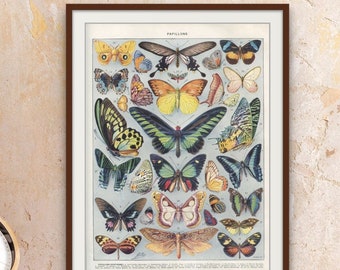 Original Vintage Butterfly Print 1932 ‘PAPILLONS’ butterfly poster. Butterflies types. Natural History Art. Retro Botanical Print. Larousse.