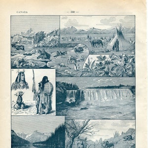1900 Antique North America Print. Vintage Canadian Wildlife Poster. Canada Native Americans Indians. Tipi. Tepee. Canadian Geography Art.