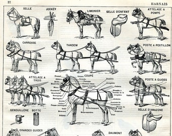 1897 Horse Harness Print. Plow. Horses. Horse equipment. Equestrian  Equipment. LARGE. 125 YEARS OLD French Larousse Illustration.Horse Lover