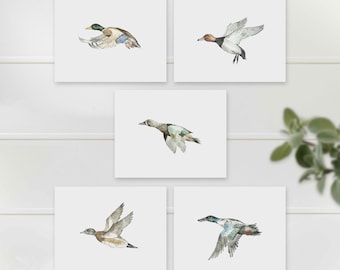 Duck prints, 8x10 watercolor art, waterfowl